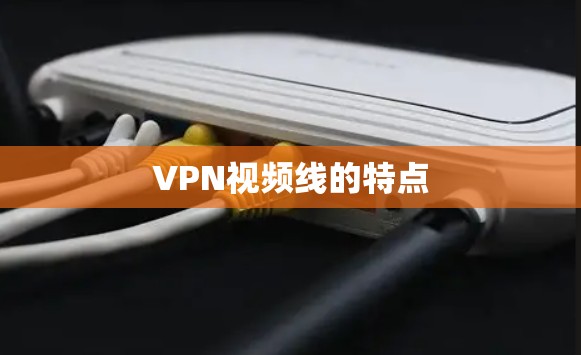 VPN视频线的特点 VPN视频线的特点