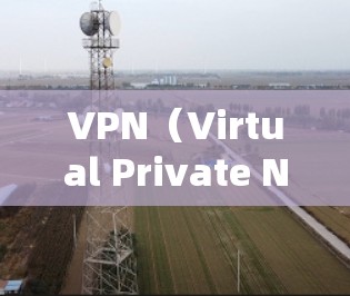 VPN(Virtual Private Network,简写为VPN)是用于加密通信、视频会议、数据传输等的网络服务。用户选择VPN时,需要考虑以下几点,以下是一些常见的VPN推荐 VPN(Virtual Private Network,简写为VPN)是用于加密通信、视频会议、数据传输等的网络服务。用户选择VPN时,需要考虑以下几点,以下是一些常见的VPN推荐