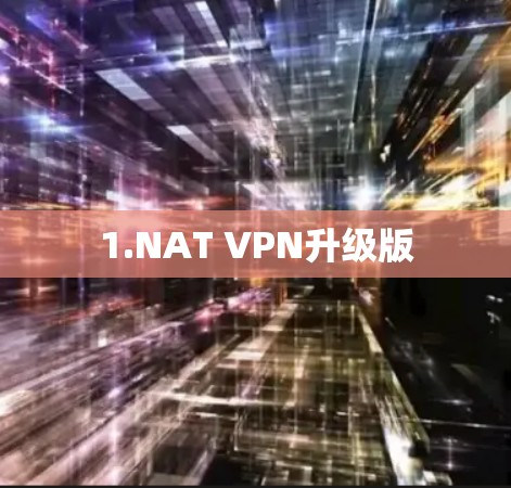 1.NAT VPN升级版
