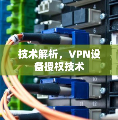 技术解析,VPN设备授权技术 技术解析,VPN设备授权技术