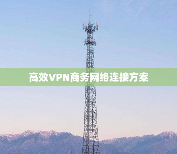高效VPN商务网络连接方案 高效VPN商务网络连接方案