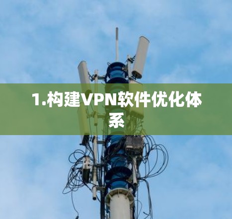 1.构建VPN软件优化体系