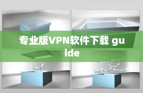 专业版VPN软件下载 guide 专业版VPN软件下载 guide