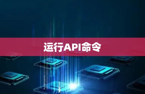 运行API命令 运行API命令