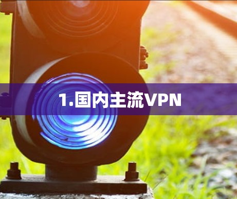 1.国内主流VPN 1.国内主流VPN