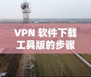 VPN 软件下载工具版的步骤指南
