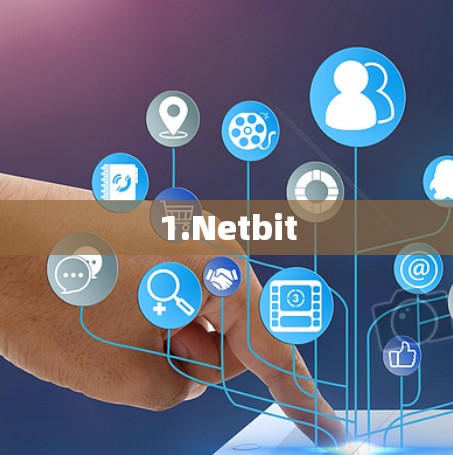 1.Netbit 1.Netbit
