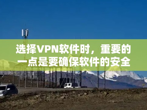 选择VPN软件时，重要的一点是要确保软件的安全性、兼容性和稳定性。以下是一些推荐的VPN软件，根据你的需求和设备类型来选择