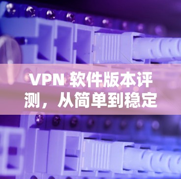 VPN 软件版本评测,从简单到稳定的选择指南 VPN 软件版本评测,从简单到稳定的选择指南