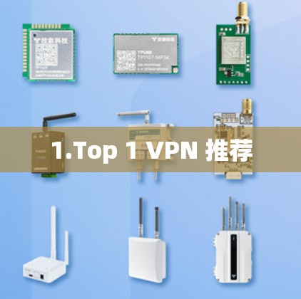 1.Top 1 VPN 推荐 1.Top 1 VPN 推荐