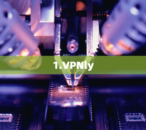 1.VPNly