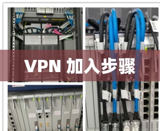 VPN 加入步骤 VPN 加入步骤