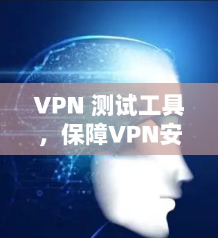 VPN 测试工具,保障VPN安全的利器 VPN 测试工具,保障VPN安全的利器