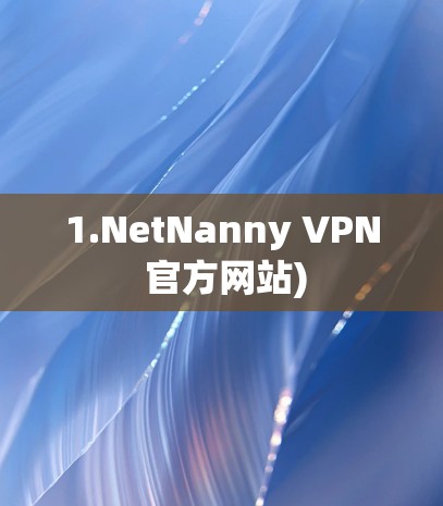 1.NetNanny VPN 官方网站)