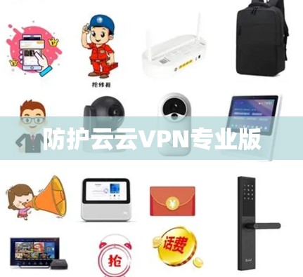 防护云云VPN专业版 防护云云VPN专业版