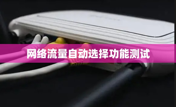 网络流量自动选择功能测试
