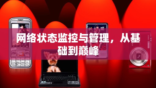 网络状态监控与管理,从基础到巅峰 网络状态监控与管理,从基础到巅峰