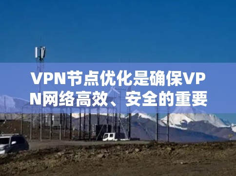 VPN节点优化是确保VPN网络高效、安全的重要环节。以下是对VPN节点优化服务的分步说明