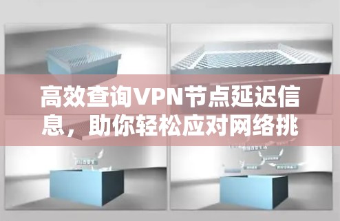 高效查询VPN节点延迟信息，助你轻松应对网络挑战