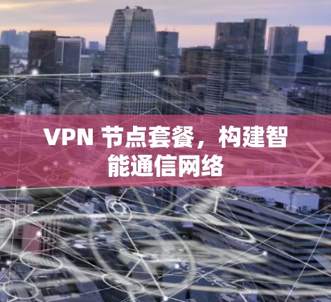 VPN 节点套餐，构建智能通信网络