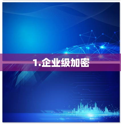 1.企业级加密