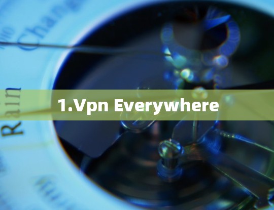 1.Vpn Everywhere 1.Vpn Everywhere