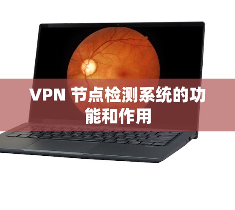 VPN 节点检测系统的功能和作用 VPN 节点检测系统的功能和作用