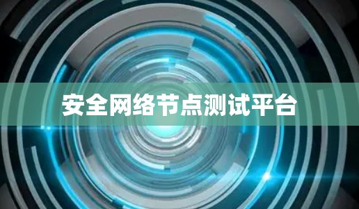 安全网络节点测试平台