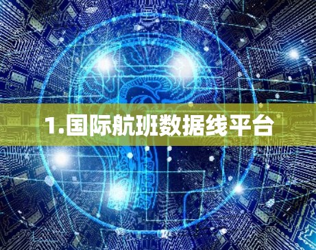 1.国际航班数据线平台