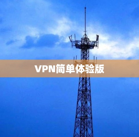 VPN简单体验版