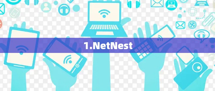 1.NetNest 1.NetNest