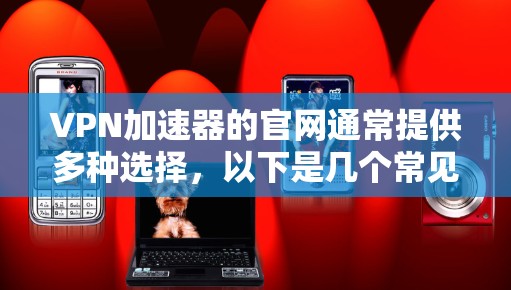 VPN加速器的官网通常提供多种选择，以下是几个常见的VPN加速器的官方网站导航
