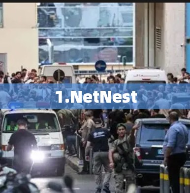 1.NetNest