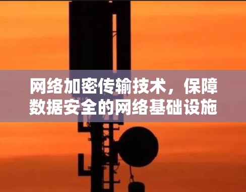 网络加密传输技术,保障数据安全的网络基础设施 网络加密传输技术,保障数据安全的网络基础设施