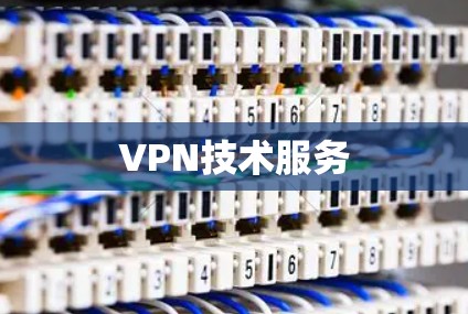 VPN技术服务 VPN技术服务