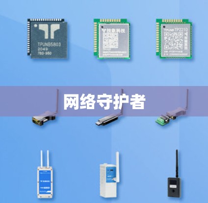 网络守护者 网络守护者