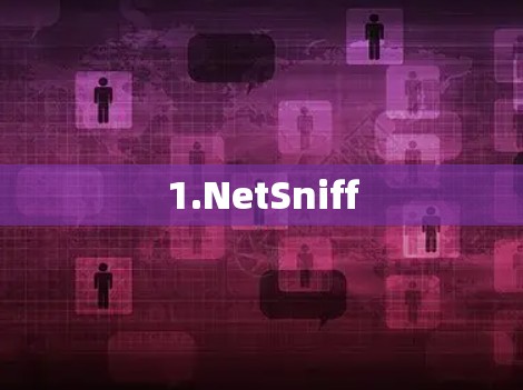 1.NetSniff 1.NetSniff