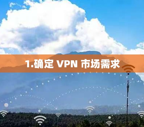 1.确定 VPN 市场需求