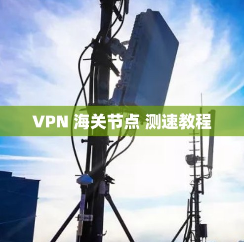 VPN 海关节点 测速教程