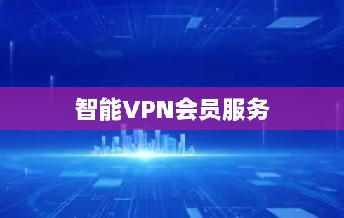 智能VPN会员服务 智能VPN会员服务