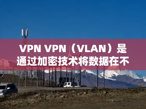 VPN VPN（VLAN）是通过加密技术将数据在不直接影响网络流的状态下传输。以下是关于VPN海外使用的详细信息