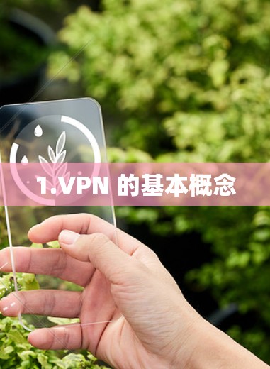 1.VPN 的基本概念 1.VPN 的基本概念