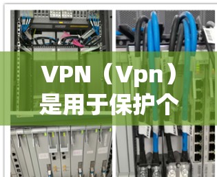 VPN（Vpn）是用于保护个人隐私、防止网络攻击和维护网络安全的重要工具。使用VPN时，用户需要确保其访问的网络符合当地法律法规，并且网络环境的安全性。以下是关于VPN海外访问的常见问题和建议