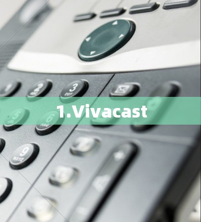 1.Vivacast 1.Vivacast