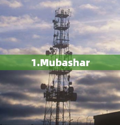 1.Mubashar 1.Mubashar