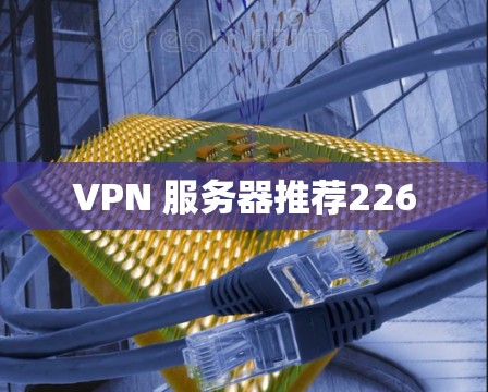 VPN 服务器推荐226