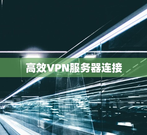 高效VPN服务器连接