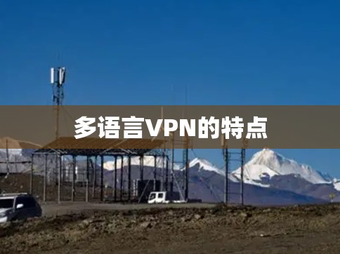 多语言VPN的特点