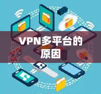VPN多平台的原因 VPN多平台的原因