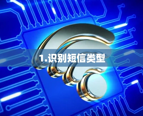 1.识别短信类型 1.识别短信类型